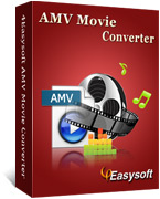 4Easysoft AMV Movie Converter