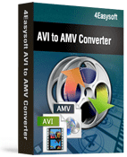 4Easysoft AVI to AMV  Converter