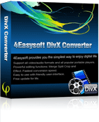 4Easysoft DivX Converter