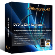 4Easysoft DVD to DivX Converter