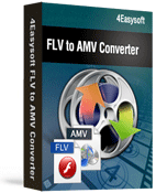 4Easysoft FLV to AMV  Converter