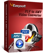 4Easysoft FLV to AMV Converter