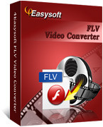 4Easysoft FLV Video Converter