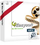 4Easysoft Mac MKV Converter