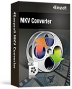 4Easysoft MKV Converter