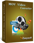 4Easysoft MP4 Converter