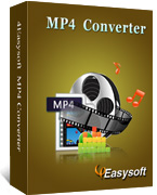 4Easysoft MP4 Converter