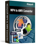 4Easysoft MP4 to AMV  Converter