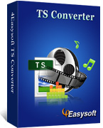 4Easysoft TS Converter