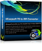 4Easysoft TS to AVI Converter