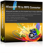 4Easysoft TS to MP3 Converter