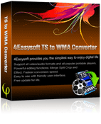 4Easysoft TS to WMA Converter