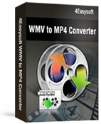 4Easysoft WMV to MP4 Converter