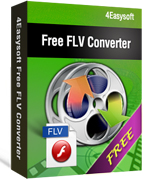 4Easysoft FLV Video Converter