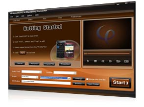DVD to BlackBerry Converter Screen