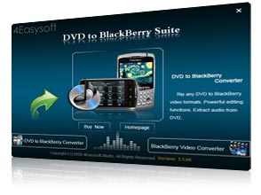 DVD to BlackBerry Suite Screen