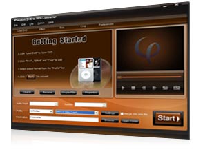 DVD to MP4 Converter Screen