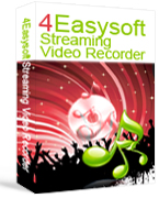 4Easysoft Streaming Video Recorder